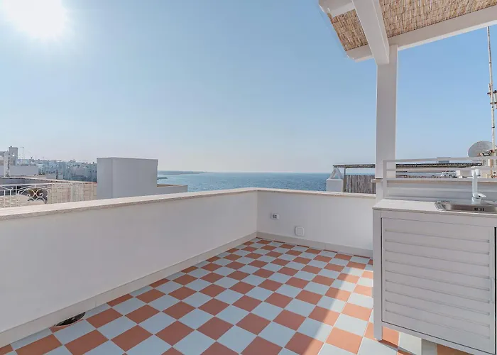 Amar * 폴리나노 아마레