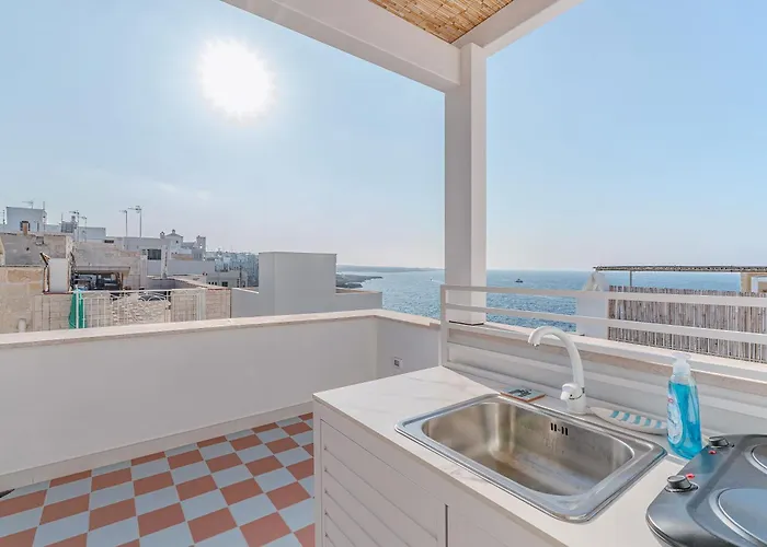 Amar 폴리나노 아마레