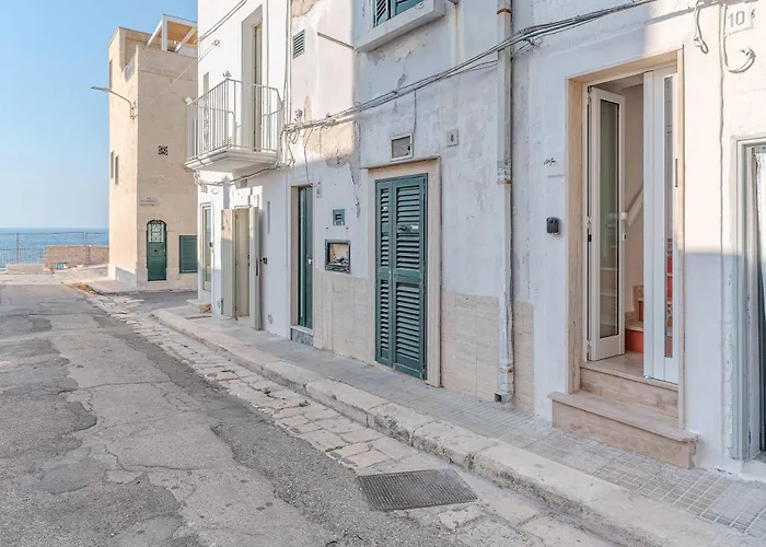 Amar * 폴리나노 아마레